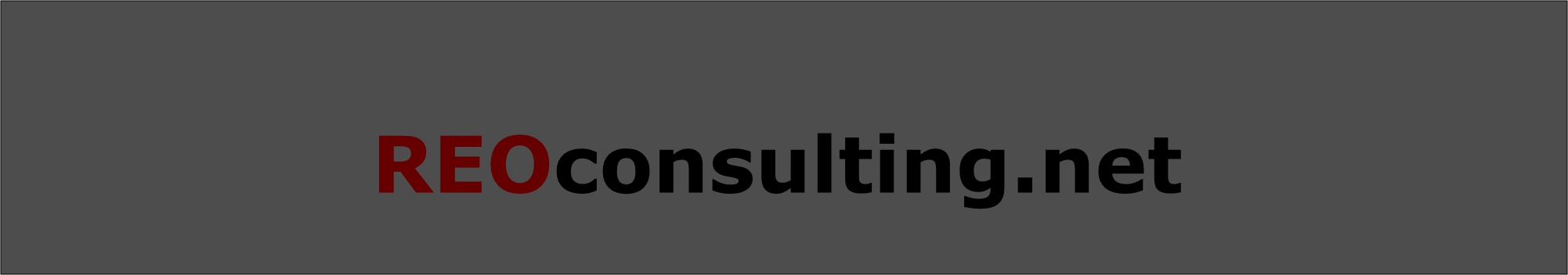 reo consulting